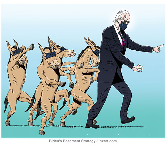 Candidate Joe Biden in a face mask blindly leading four Democratic donkeys with face masks over their eyes.